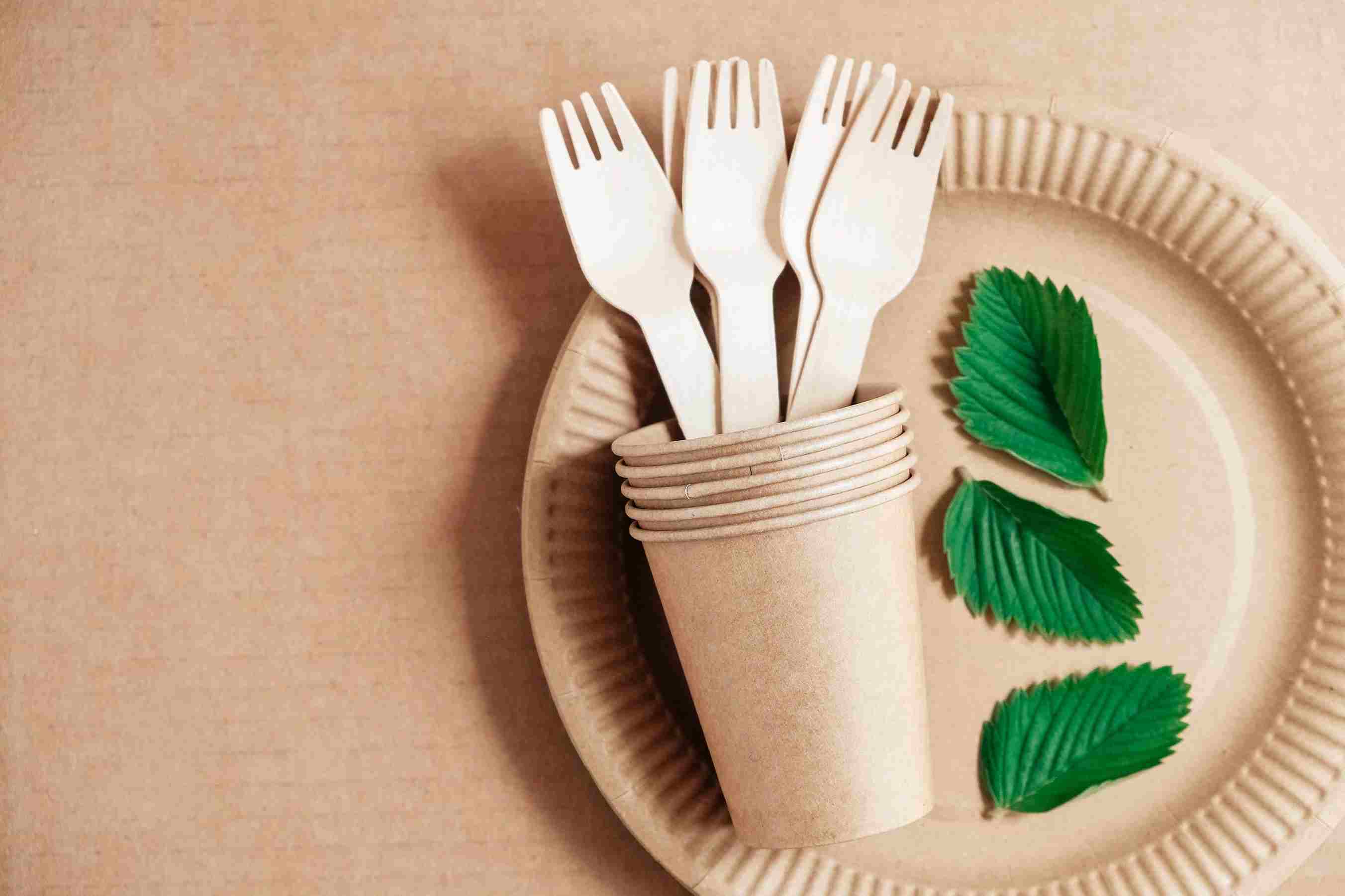 eco-friendly disposable plates and cutlery